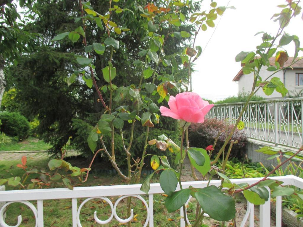 דירות Boisset-lès-Montrond Les Roses De Rita מראה חיצוני תמונה